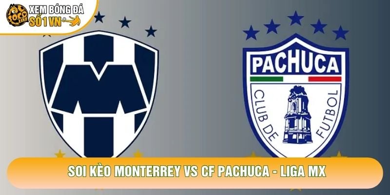 Soi Kèo Monterrey Vs CF Pachuca, 08h00 Ngày 19/10 - Liga MX