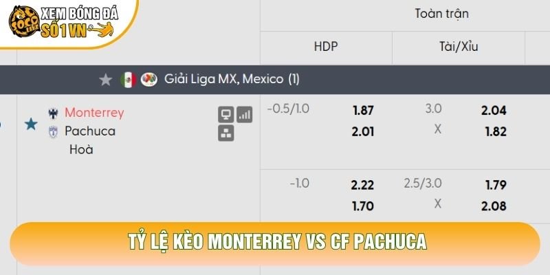 Tỷ lệ kèo Monterrey vs CF Pachuca